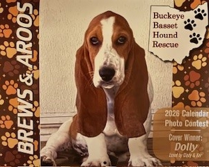 2026 Brews & Aroos Wall Calendar