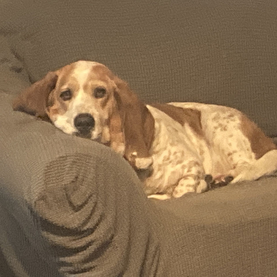 Charlie Charlie