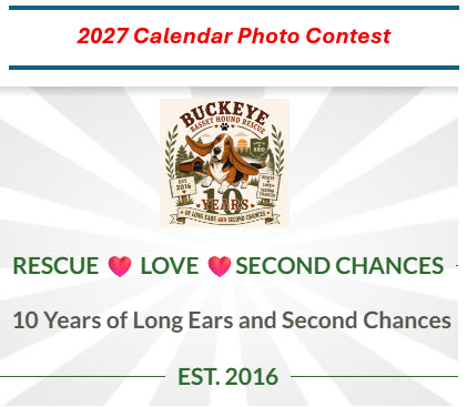 Photo Contest